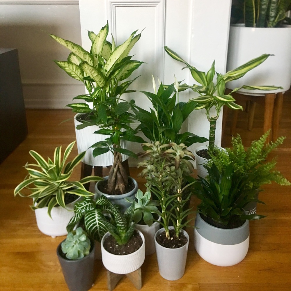 Meet your Posher, Seth